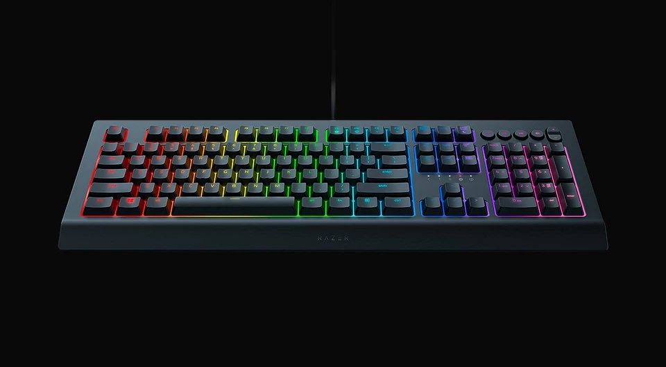 Razer Cynosa V2 keyboard review: play and work